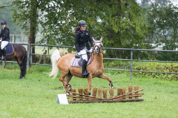 Bild 249 - Pony Akademie Turnier